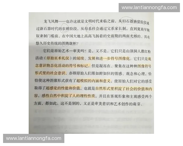 通过巧妙的动作过渡展现人物情感变化与剧情发展之美学探析