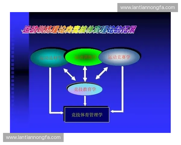 比赛经验驱动竞技水平全面提升的系统化策略路径解析方案研究展望