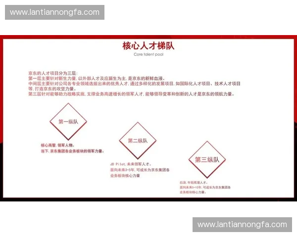 围绕人才储备结构优化推动组织高质量可持续发展的战略路径研究实践 围绕人才储备结构优化推动组织高质量可持续发展的战略路径研究实践