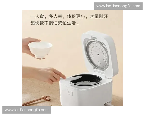 如何选择适合家居生活的多功能电饭煲 提升烹饪效率与品质的最佳选择