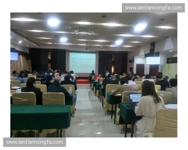 体育活动执行中的组织协调与高效实施策略探讨