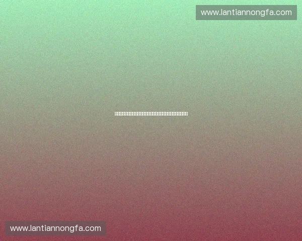 体育判罚系统的创新与发展探索：提升公平性与透明度的多维路径