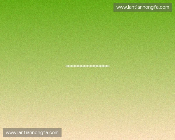 聚焦巅峰对决全程赛事直播带你直击赛场每一个精彩瞬间与背后故事