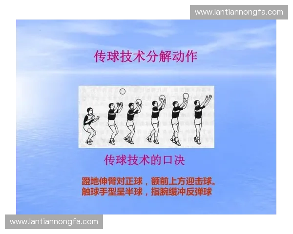 围绕低手传球技术系统提升青少年排球基础训练有效策略与方法研究