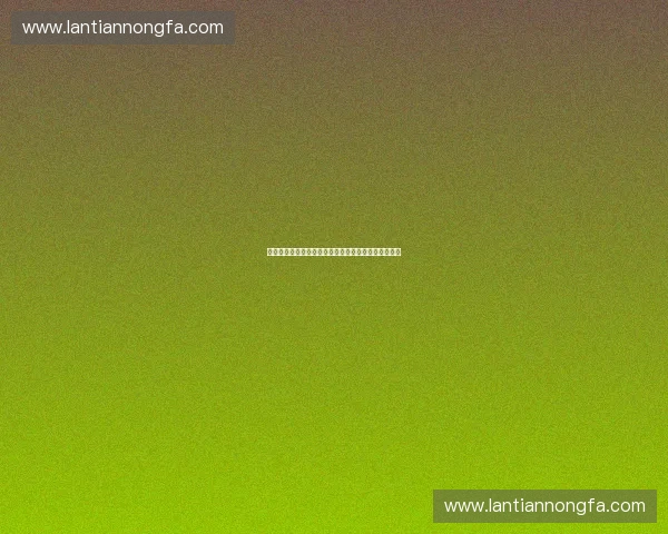 打造全民参与的体育内容平台新生态与多元互动新体验