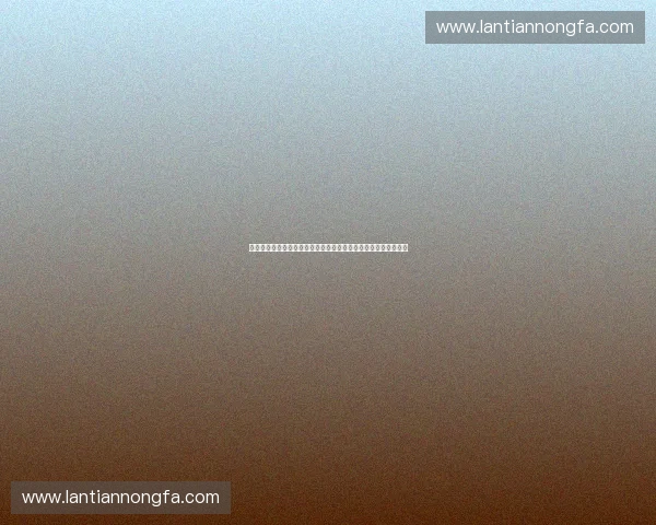 聚焦体育热点打造专业内容矩阵引领全民运动新风潮发展趋势解读 聚焦体育热点打造专业内容矩阵引领全民运动新风潮发展趋势解读