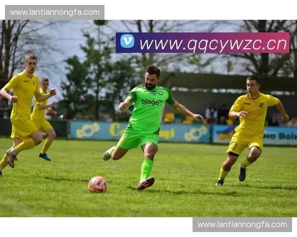 全程高清赛事直播带你纵览全球体育盛事精彩瞬间